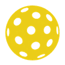 Pickleball